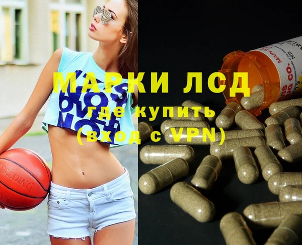 дживик Майский