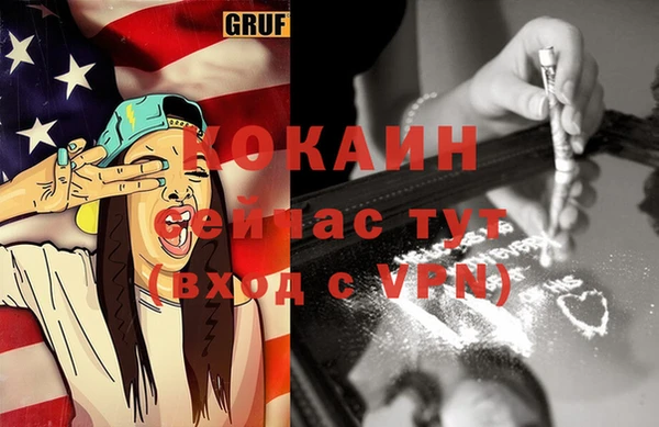 дживик Майский