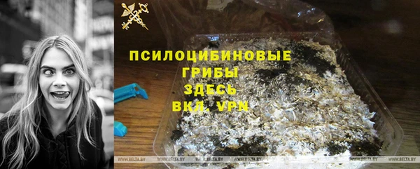 дживик Майский