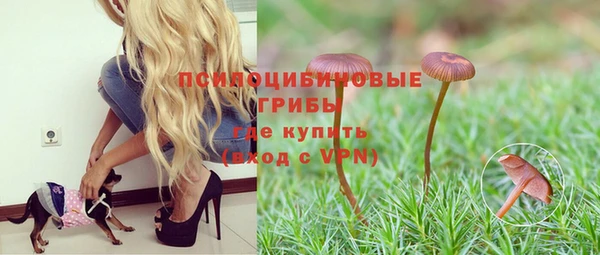 прущая мука Магас