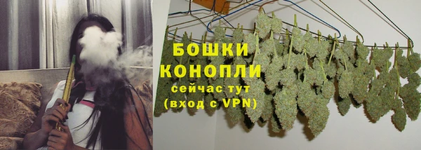 дживик Майский