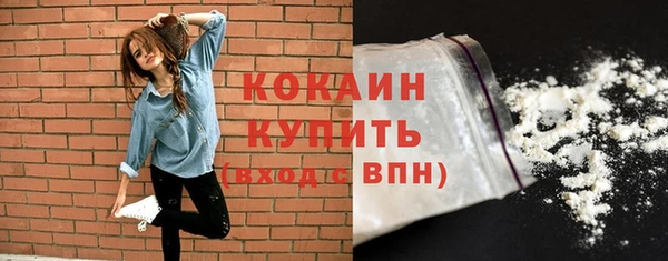 дживик Майский