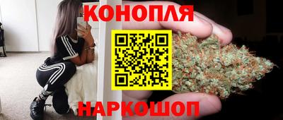 стаф Бузулук