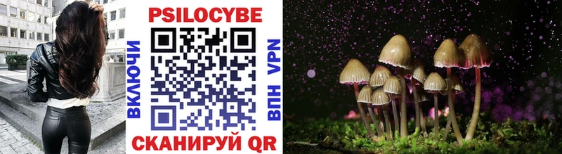 Галлюциногенные грибы Cubensis  наркотики  Гагарин 
