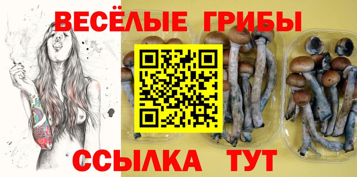 Псилоцибиновые грибы Psilocybine cubensis  Псилоцибиновые грибы ЛСД  Гагарин 