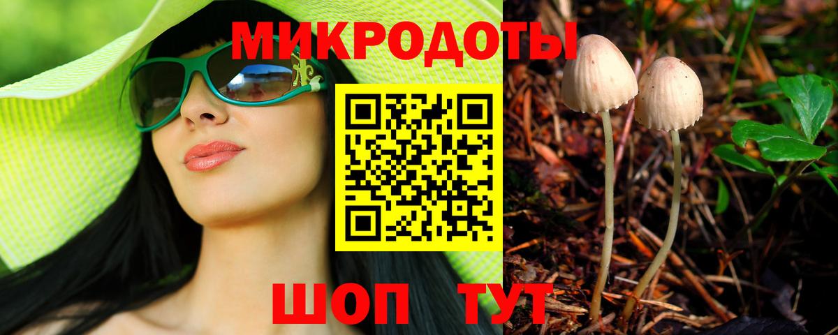 Псилоцибиновые грибы Cubensis Гагарин