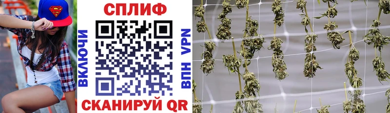 mega как войти  Гагарин  Шишки марихуана ГИДРОПОН 